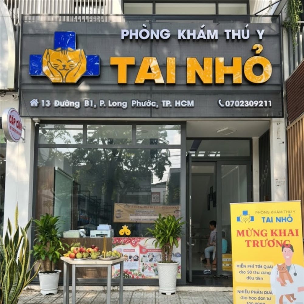 Phòng khám thú y sau khi lắp bảng hiệu nền xám chữ nổi vàng và logo mèo