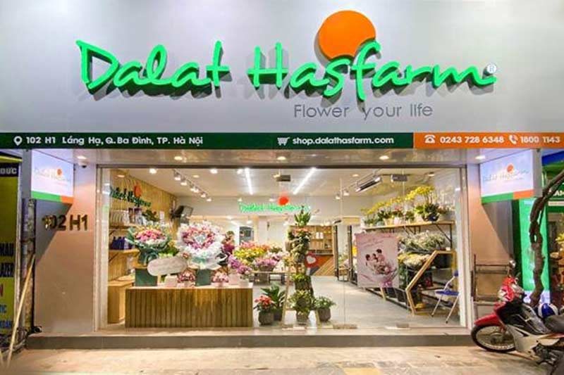 Shop hoa với chữ nổi xanh lá viết tay và logo mặt trời cam