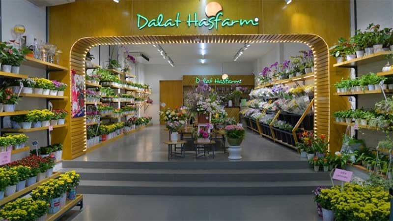Bên trong shop hoa với vòm gỗ, kệ hoa hai bên và chữ nổi xanh