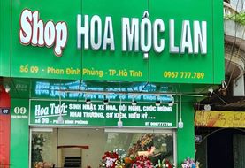 Bảng hiệu shop hoa tươi: mẫu đẹp, màu sắc và cách làm mặt tiền